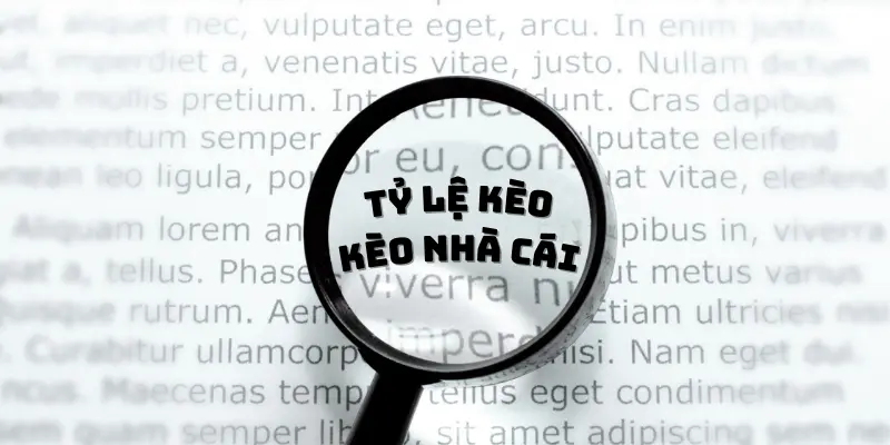 Phân biệt kèo nhà cái và tỷ lệ kèo Phân biệt kèo nhà cái và tỷ lệ kèo