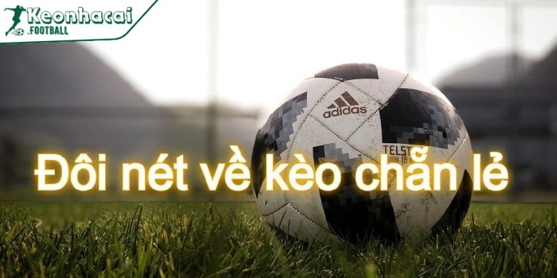 Đôi nét về kèo chẵn lẻ