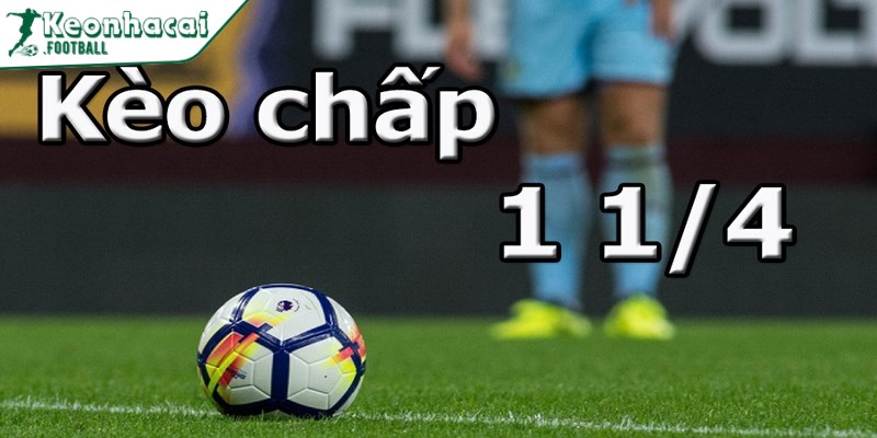 Khái niệm kèo chấp 1 ¼ là gì dành cho tân thủ