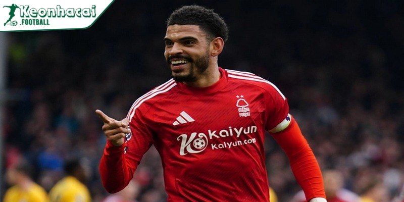 Morgan Gibbs-White – Tài năng đang thăng hoa tại Premier League