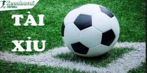 Cách đọc kèo Tài Xỉu chi tiết, chính xác cho người mới chơi 1 Kinh nghiệm đặt kèo Tài Xỉu luôn thắng từ cao thủ