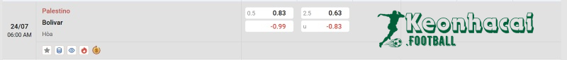 Tỷ lệ kèo Palestino vs Bolivar