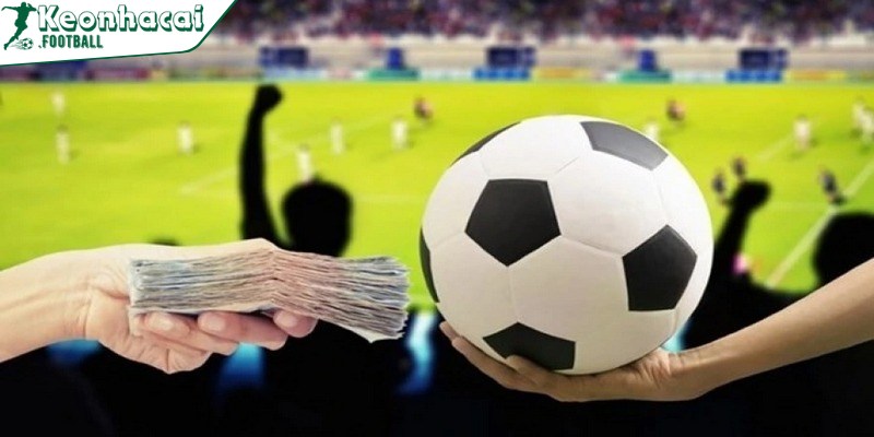 Hiểu sâu thuật ngữ cá độ bóng đá giúp nâng cao kỹ năng cá cược chuyên nghiệp