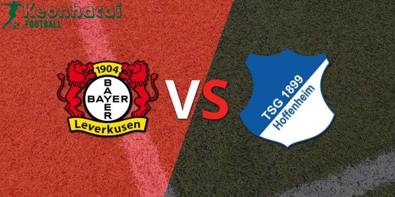 Soi kèo Bayer Leverkusen vs Hoffenheim