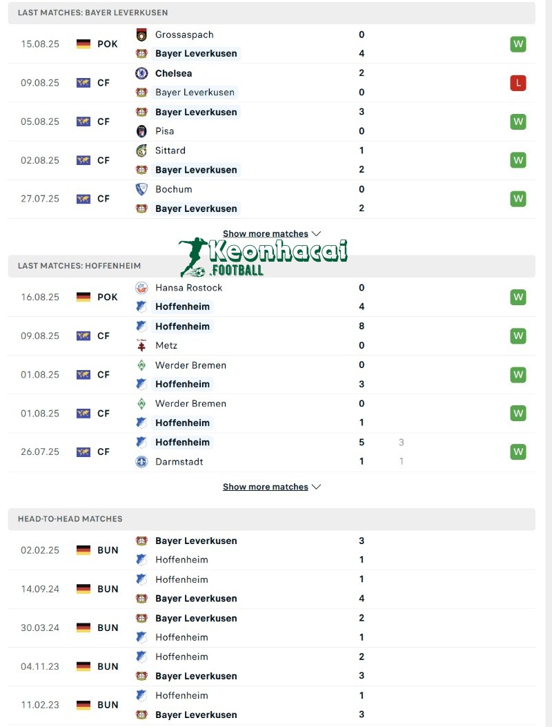 Phong độ và lịch sử đối đầu của Bayer Leverkusen vs Hoffenheim