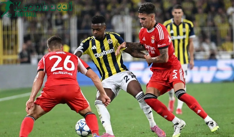 Soi kèo Benfica vs Fenerbahce - 2h00 ngày 28/8