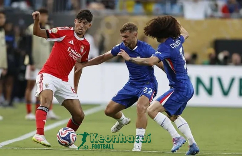 Soi kèo Feyenoord vs Fenerbahce - 2h00 ngày 07/8 