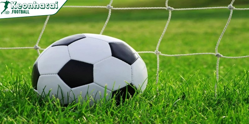 Kèo bong 88 nhanh chóng nổi bật trên thị trường giải trí